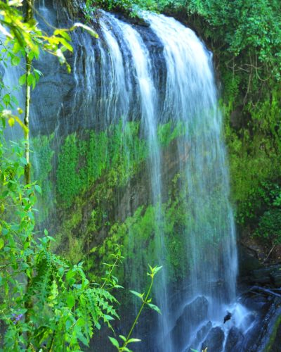 Mt Elgon- Chebonet falls (1)